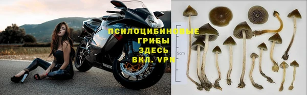 MESCALINE Богданович