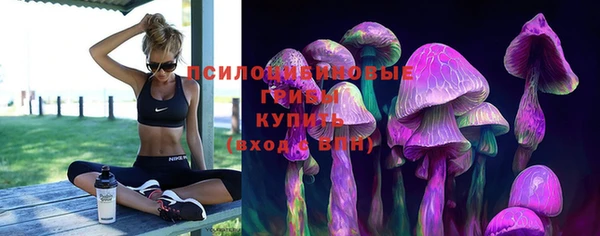 метамфетамин Богородицк