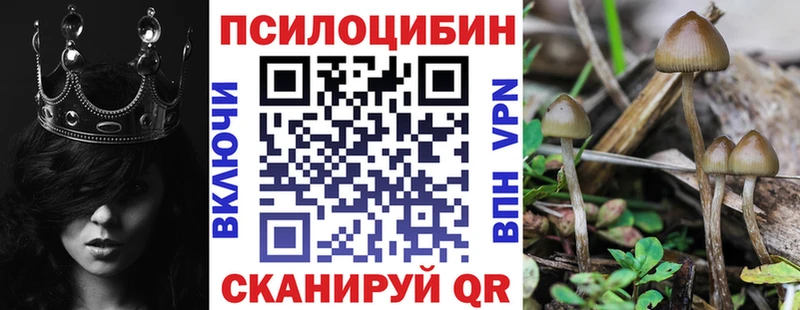 Галлюциногенные грибы прущие грибы  Купить  Маркс 