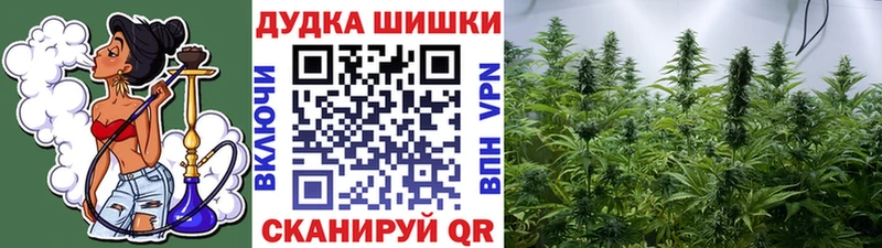 Бошки марихуана AK-47  Купить закладки  Маркс 